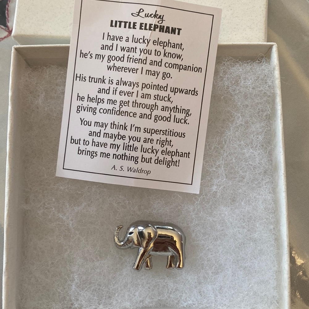 Lucky silver elephant